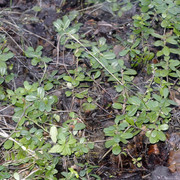 DSC8482