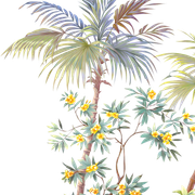 Layer 38 (1)