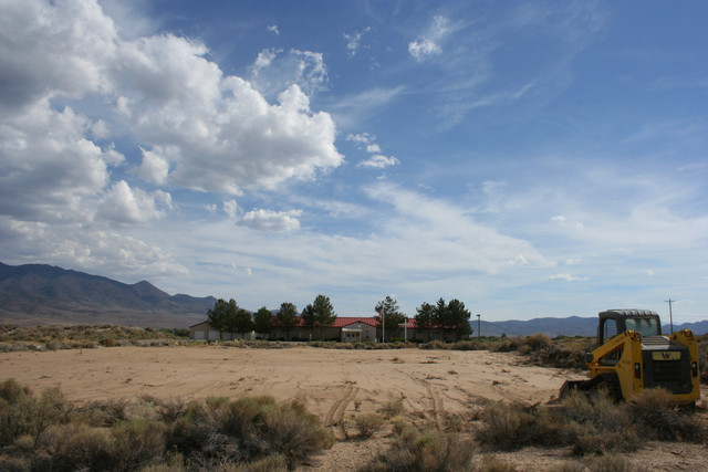 IMG 7953.jpg