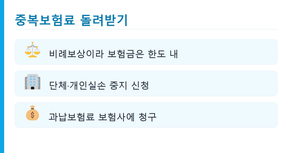 실손보험 중복가입 확인 방법과 과납보험료 환급 절차 정리 핵심 정리 2