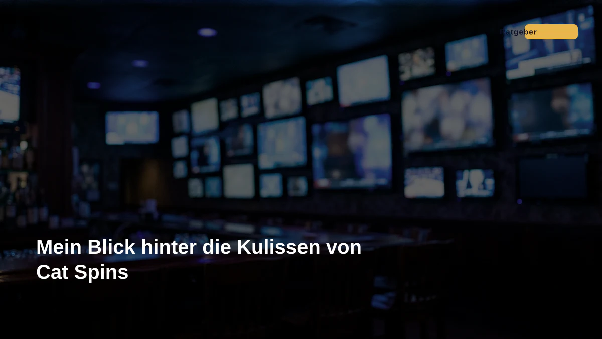 Mein Blick hinter die Kulissen von Cat Spins