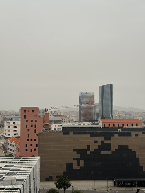 IMG 3679