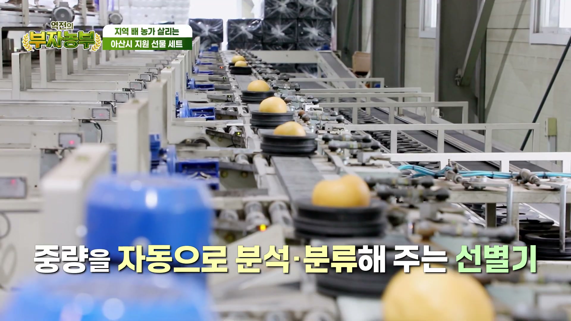 역전의부자농부 아산 그린시스배 추가 캡처 3