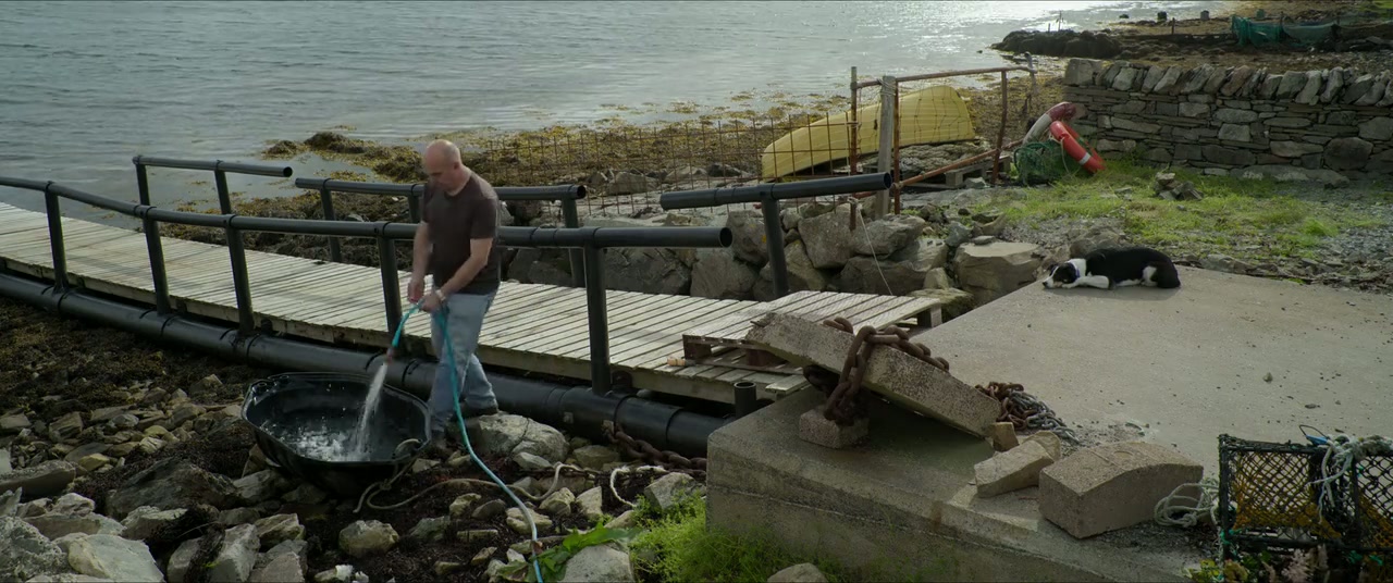 Billy & Molly: An Otter Love Story Screenshot