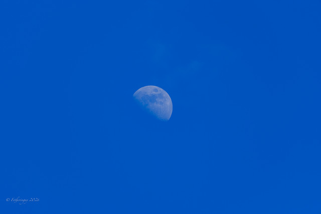 DSF6159.jpg