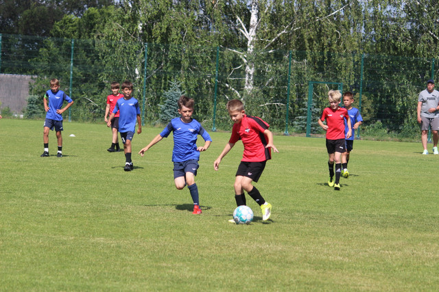 IMG-4550