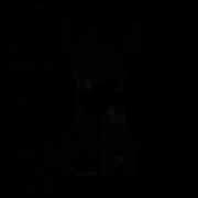 HOODIE BLACK (F)