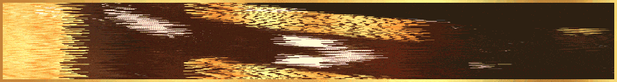 Banner.gif