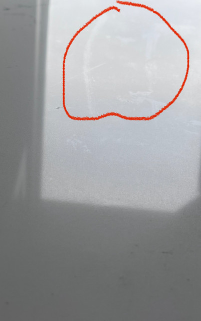IMG-0320