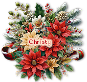 Christy Scrap2Heidi A.png
