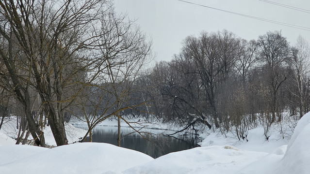 20260315-104737.jpg