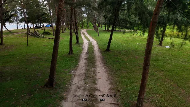Jason Bay Public Beach1.webp