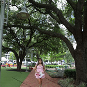 IMG 5133