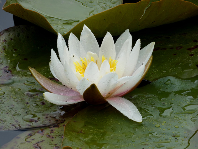 P1370416