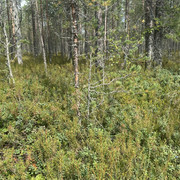 IMG 4596