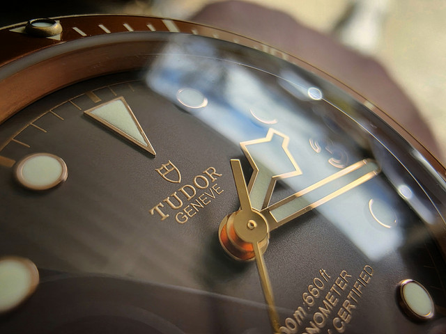 Tudor BB Bronze - Page 14 1000008291