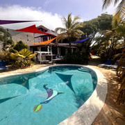 IMG 4397