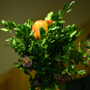 Pic 0132