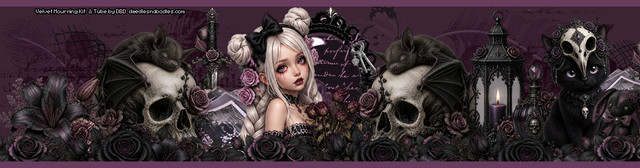 header.jpg