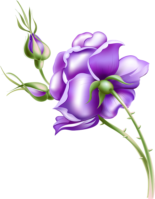 b88d8e20c1327fcd57b21bd115bbb3f9