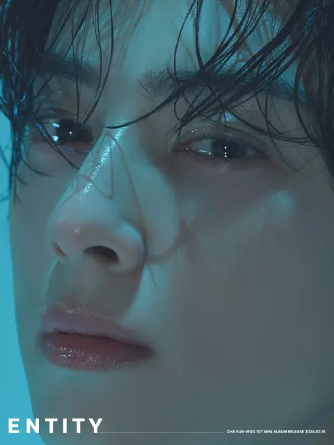 cha eun woo 1314981
