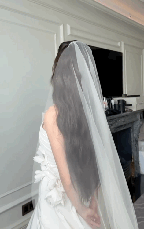 https://i.ibb.co/cSx2yJqt/IMG-3726.gif