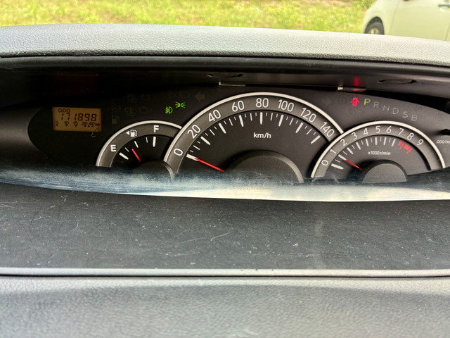 IMG 7897.jpg