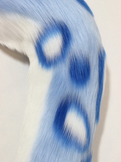 IMG 3055