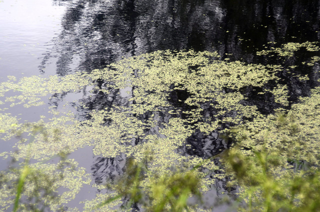 DSC8903.jpg