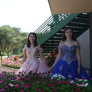 IMG 9091