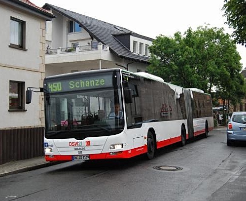 dsw32312-01.jpg