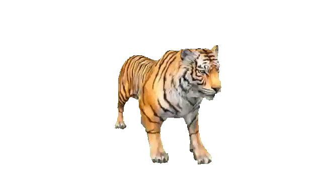 tiger-green-roar.gif