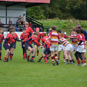 DSC-0378