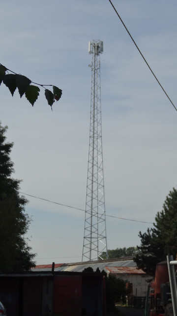 DSC06894
