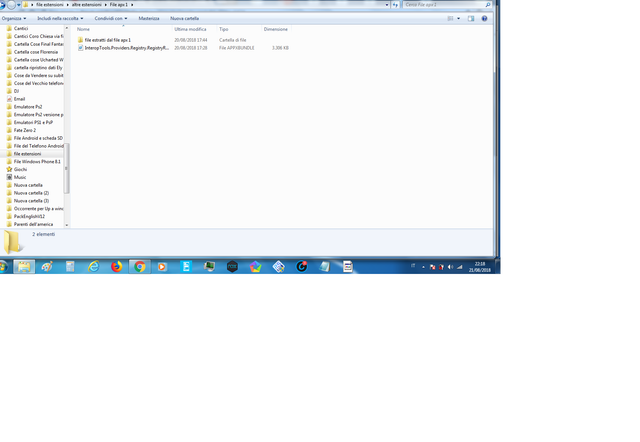 Immagine file apx 1