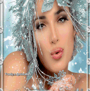 4.gif