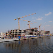 DSC03554