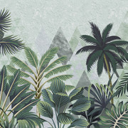 tropics