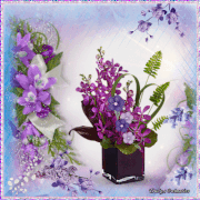 3.gif