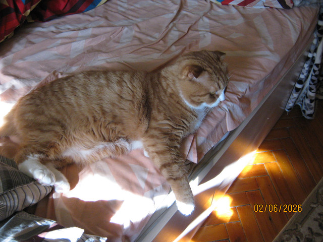 IMG 6432.jpg