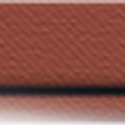 d2 blank