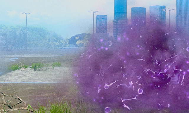G-Wroggi-Introduction-banner