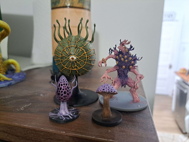 Fungi.jpg