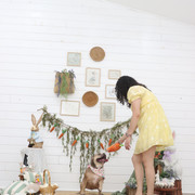 IMG-7249
