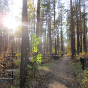 IMG-5491
