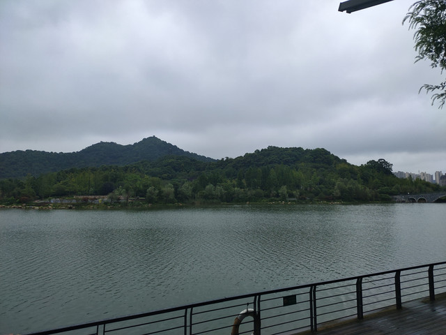 IMG20200708131448.jpg