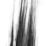 F2 (124)