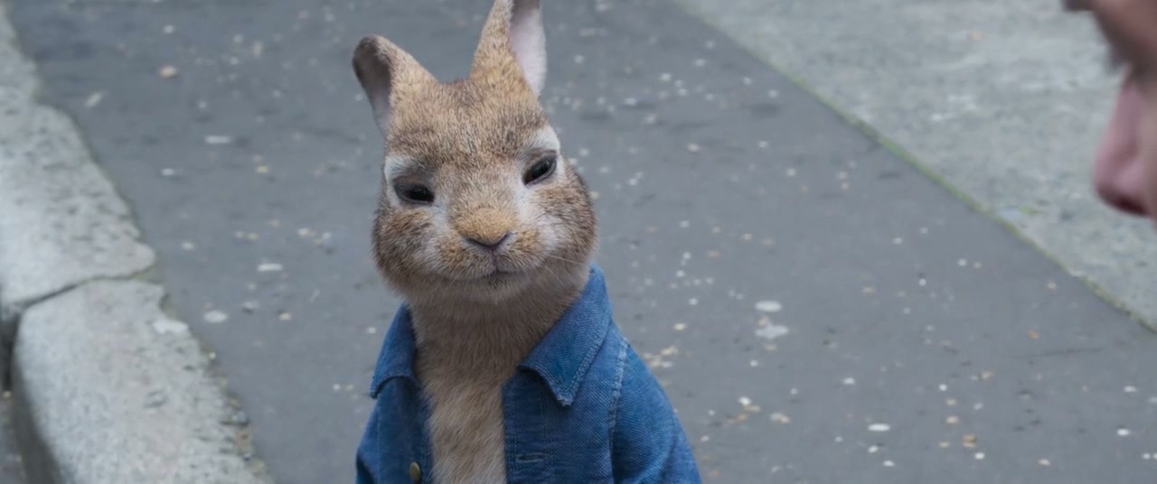 Peter Rabbit 2: The Runaway Screenshot