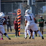 IMG-3472