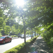 P1340152